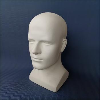 Male's Mannequin head 